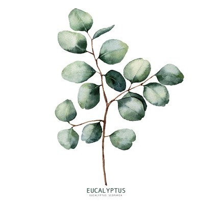 Glas-Art Eucalyptus 20 x 20 cm