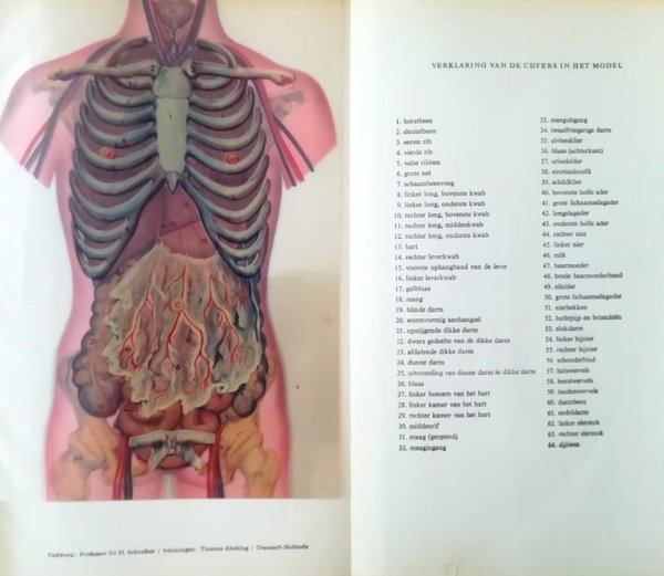 Eerste Medische Systematische Ingerichte Encyclopaedie Deel I & II 1954